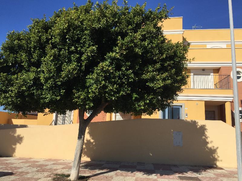 Apartamentos Playamar Roquetas de Mar Exterior photo
